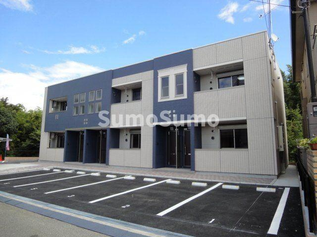 トゥルーハート