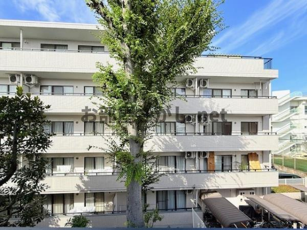 Ｌａ　Ｐｅｒｌａ　Ｎａｋａｎｏのその他