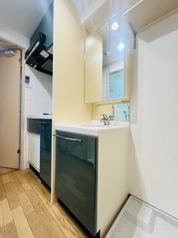 エステムコート神戸ハーバーランド前Ⅱの洗面所