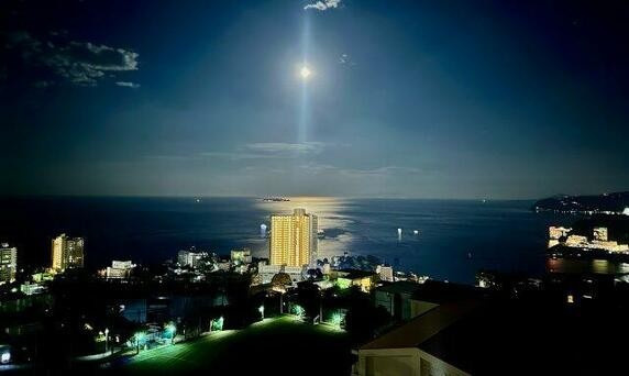 桃山マンションの展望