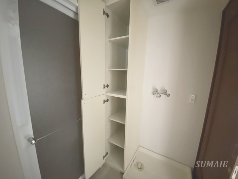 ルピナス北浦和公園の収納|脱衣所収納☆