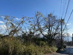 熱海市　林ガ丘町