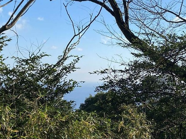 熱海市　林ガ丘町の展望