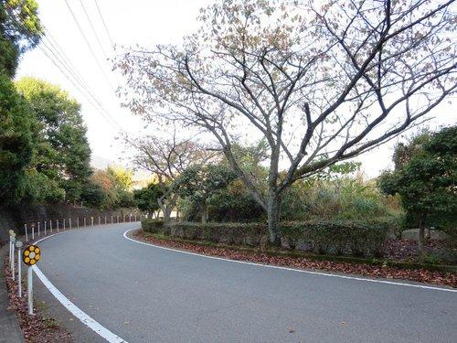 熱海市　ゆずり葉の前面道路含む現地写真