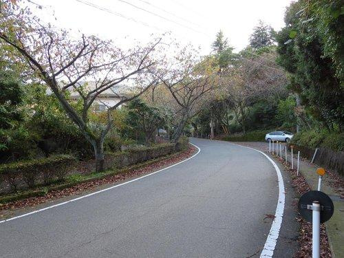 熱海市　ゆずり葉の前面道路含む現地写真