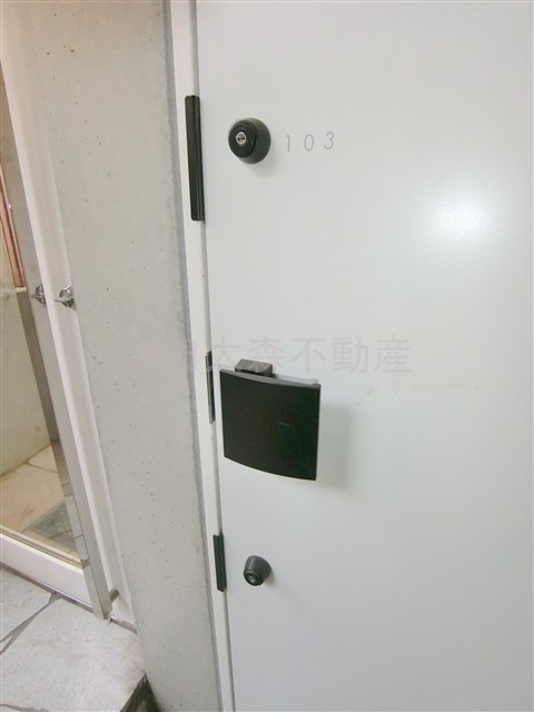 ディアマンテ糀谷の玄関