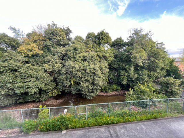 オークヒルズⅠの展望