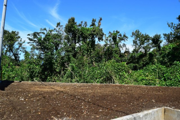 【外観】 | 大原台　売地