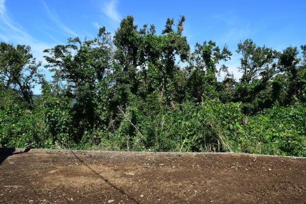 【外観】 | 大原台　売地
