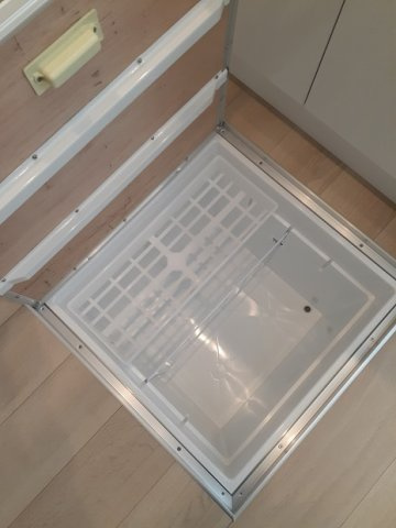 オレガノ　Ａのその他