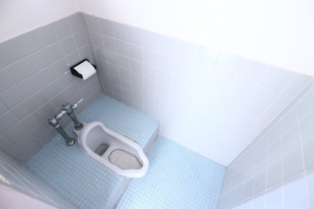 グリーンヒルアパートのトイレ