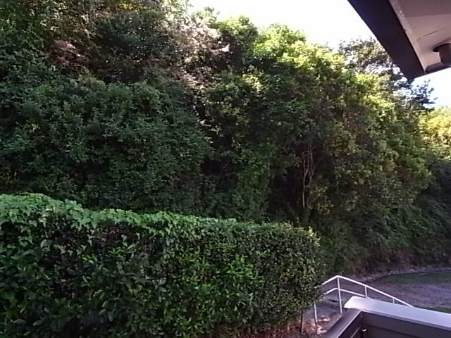 マーサ塩屋の展望