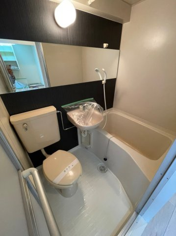 トレビアンコートの洗面所