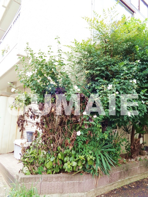 カサ・ムライのその他|植栽です☆