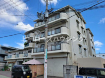 ７７７オオグシの画像