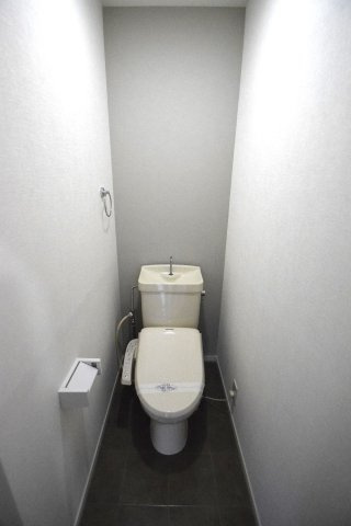 グリーンハイツAのトイレ