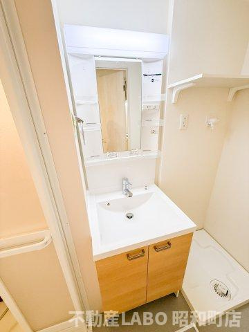 ハーモニーテラス墨江の洗面所