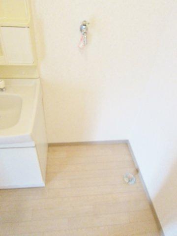 センチュリー鹿籠の洗面所