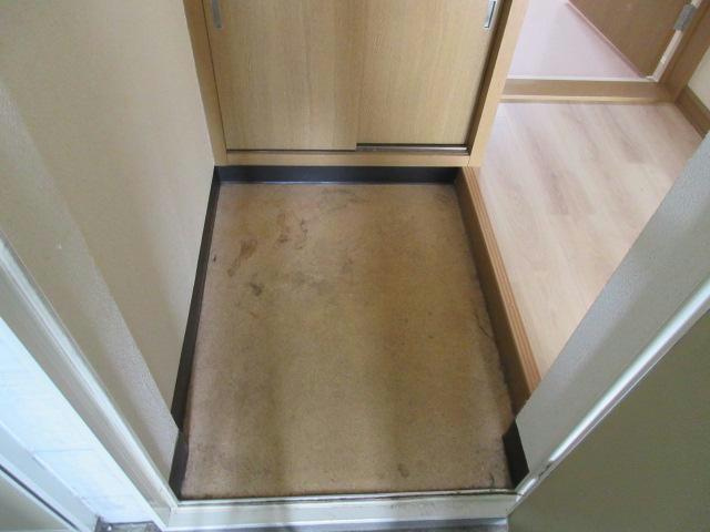 ブルーハイツ1010の玄関