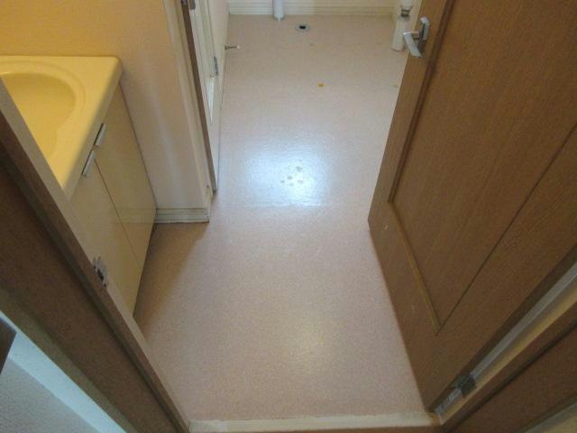 ブルーハイツ1010の洗面所