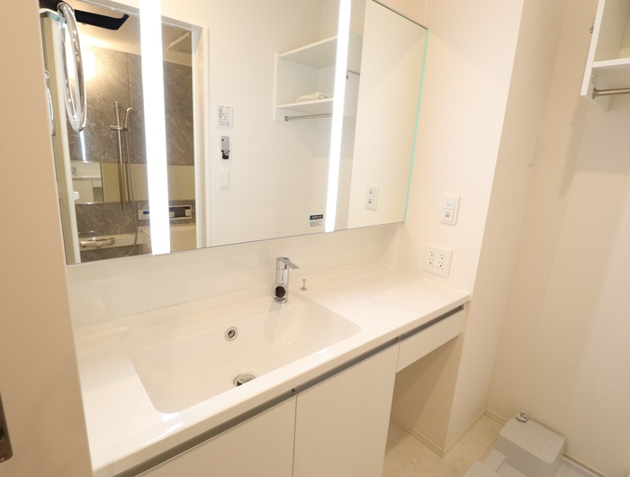 レアール・パレストの独立洗面台