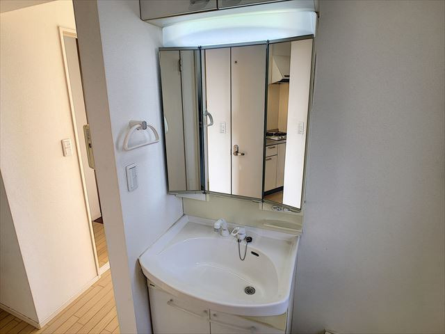 ヘーベルメゾン野芥の洗面所