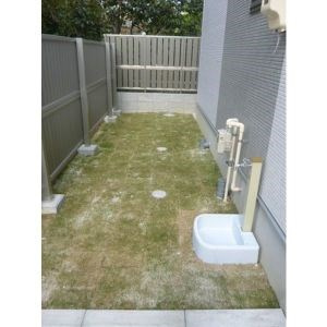 ｃｏｒｔｉｌｅ Ｃの庭