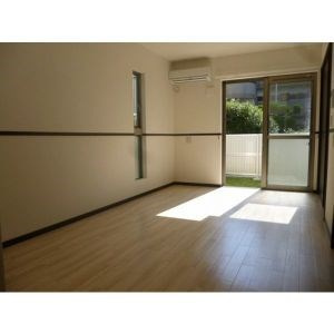 ｃｏｒｔｉｌｅ Ｃのその他