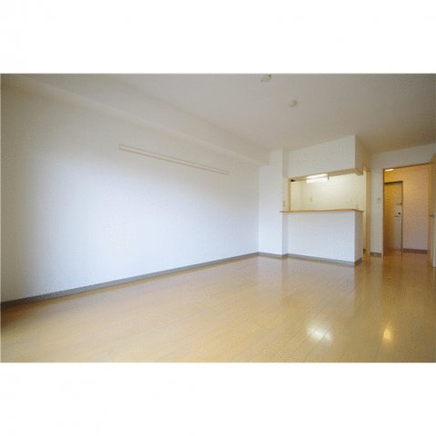 菊池郡菊陽町光の森２丁目の賃貸マンションの内装