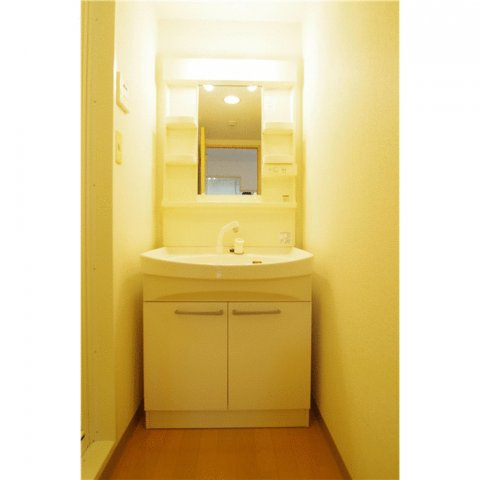 菊池郡菊陽町光の森２丁目の賃貸マンションの独立洗面台