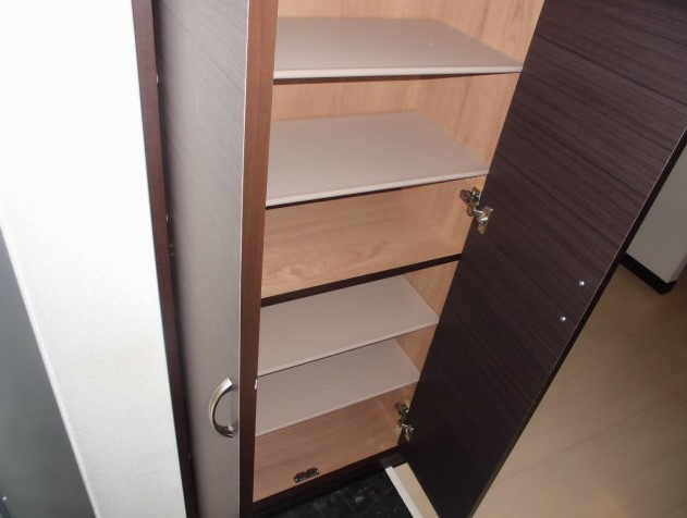 レオネクストカーサドマーニⅢの玄関