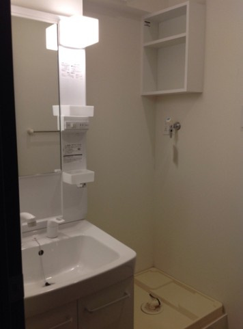 レオネクストカーサドマーニⅢの洗面所