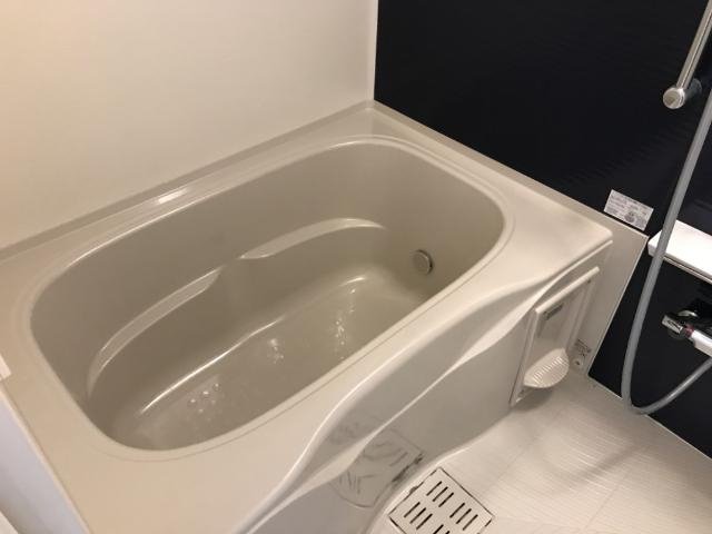 Ｇｅｍｉｎｉ　Ⅱの浴室|バス