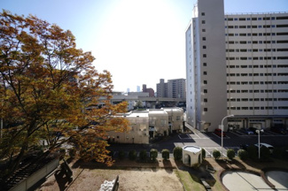 【展望】 | 現地（2025年11月15日9：00頃）撮影

