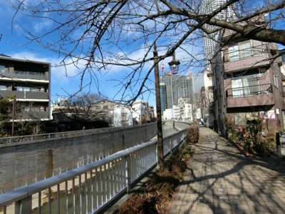 【周辺】 | 西新宿第２ローヤルコーポ