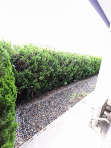 シーマープラザの庭