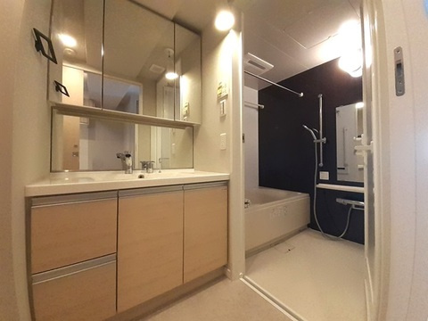 プレミアムキューブ東十条Ariaの独立洗面台