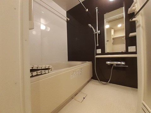 プレミアムキューブ東十条Ariaの浴室