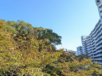 【展望】 | ドゥ・マテール穴生（C-39）