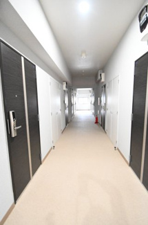 【その他】 | IRMS Ⅲ