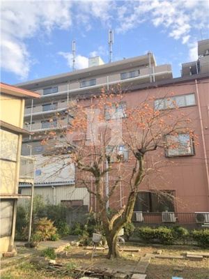 【展望】 | パステル・コートⅡ