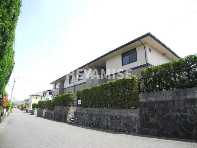 ハイカムール間瀬貝B