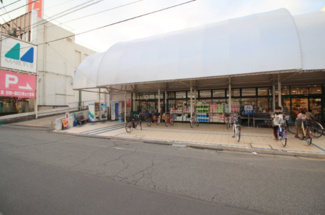 【周辺】 | 昭島市玉川町1丁目　売地　【全1区画】 | マルフジ東中神店