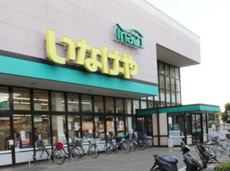 【周辺】 | 昭島市玉川町1丁目　売地　【全1区画】 | いなげやina21昭島中神店