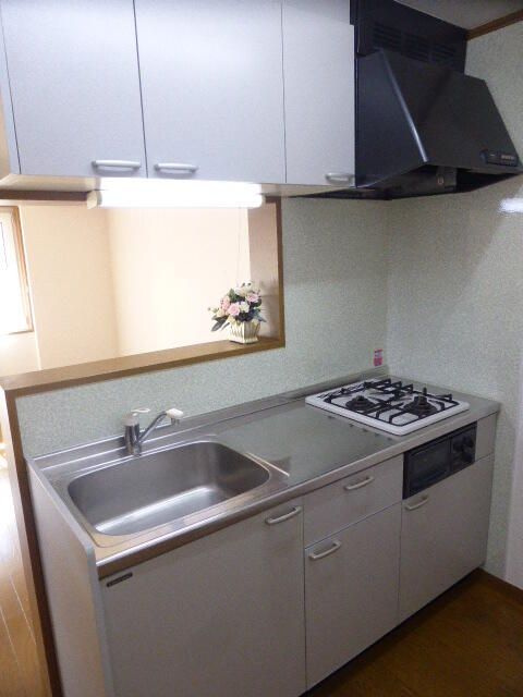 ヴィラトリアノンのキッチン