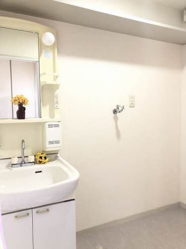 フレグランス晴海園の洗面所