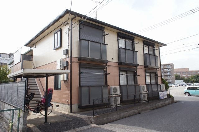 パイングローブ柏