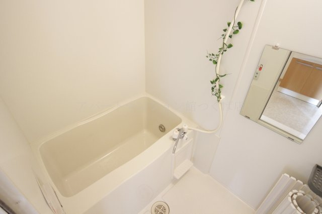 ルミエール東光台 Ａの浴室