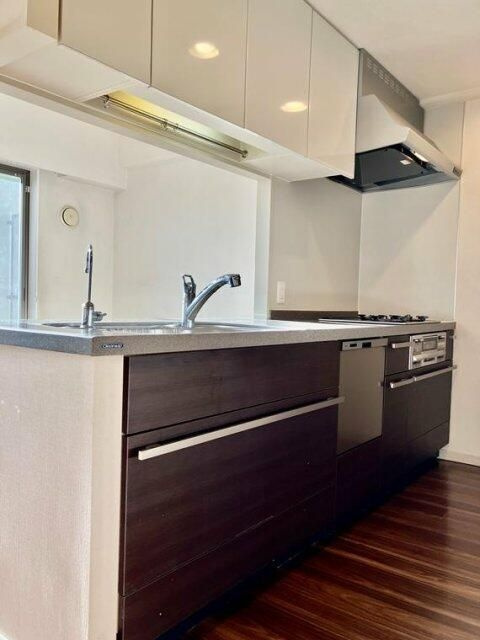 ライオンズ久米川美彩の杜のキッチン