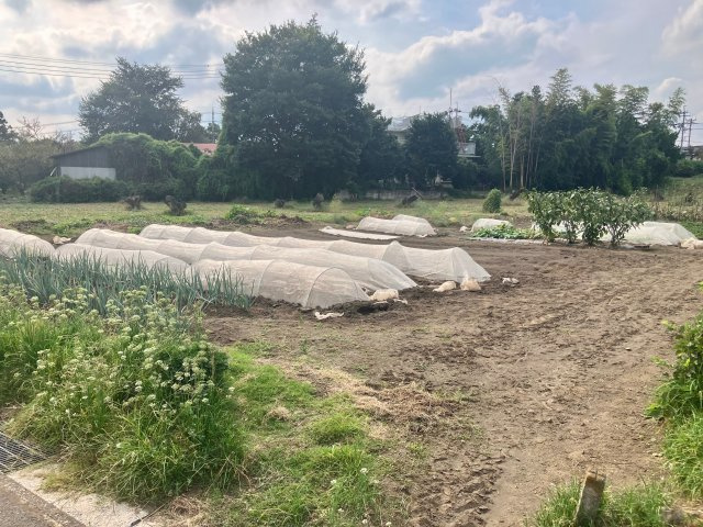 高崎市箕郷町　売地のその他|日用品お買い物も便利です♪